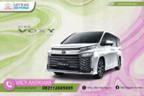 All New Voxy